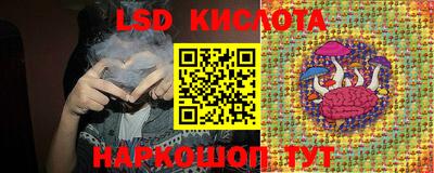 СК Рыбинск