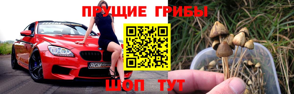 Псилоцибиновые грибы ЛСД Приморско-Ахтарск